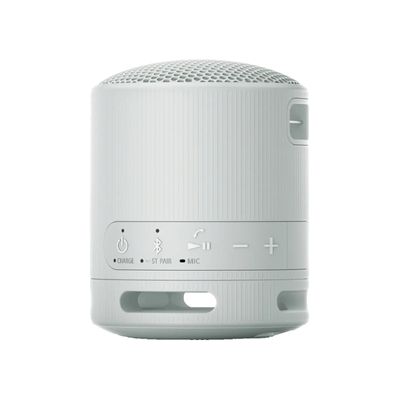 SONY Portable Bluetooth Speaker (2.5W, Grey) SRS-XB100